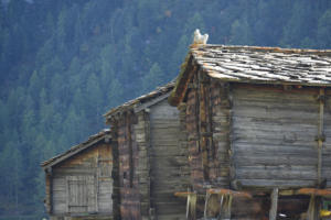 Les mazots (Zermatt)